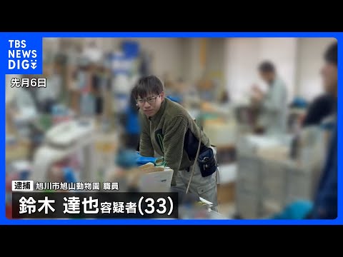 旭山動物園で妻のものとみられるスマホ見つかる　鈴木達也容疑者（33）の供述に基づいて捜索　遺体損壊事件｜TBS NEW… サムネイル