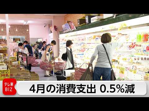 4月消費支出0.5％減少 5カ月連続マイナス 中東情勢受け買いだめも サムネイル