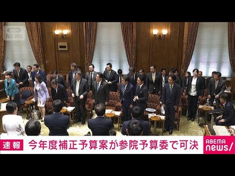 今年度の補正予算案 参議院予算委員会で可決　本会議で成立へ(2026年6月5日) サムネイル
