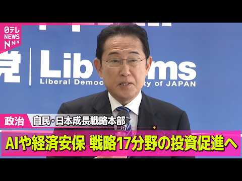 【政治】自民・日本成長戦略本部　戦略17分野の投資促進へ　提言案大筋了承──政治ニュースまとめ （日テレNEWS LI… サムネイル