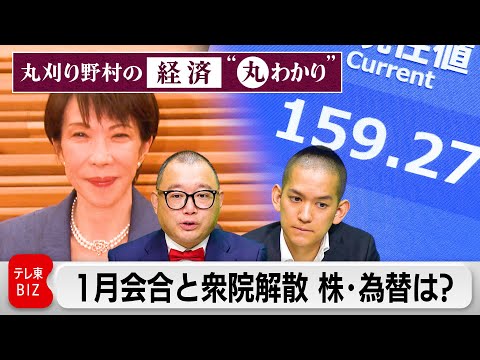 日銀1月会合と衆議院解散　株・為替・金利は？【丸刈り野村の経済“丸わかり”】 サムネイル