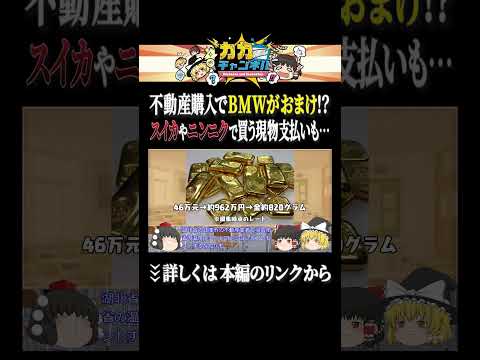 BMWや野菜で家を買う国【中国経済】 shorts ゆっくり解説 カカチャンネル サムネイル