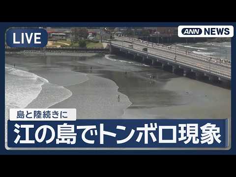 【ライブ】神奈川・湘南江の島 大きく潮が引くと陸続きになる地形「トンボロ」現象 干潮時刻11時45分ごろ【LIVE】(… サムネイル