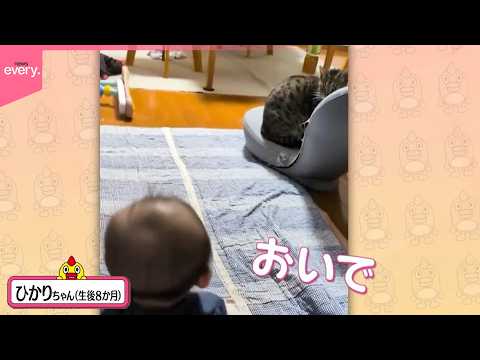 【投稿動画】ネコを呼んでも呼んでも塩対応  実は記念すべき瞬間『every.特集』