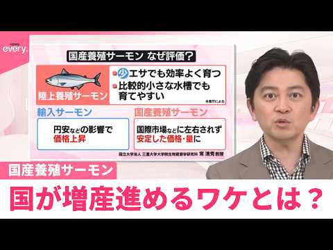【なるほどッ！】“国産養殖サーモン”国が増産進めるワケとは？ サムネイル