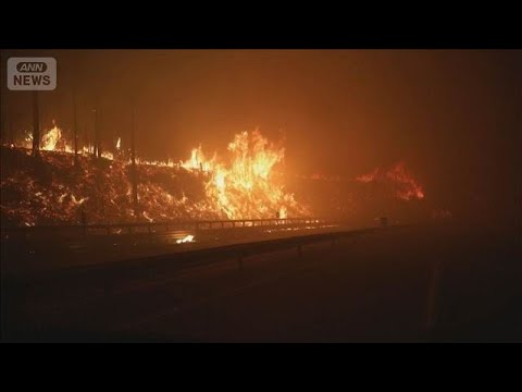 チリで大規模な山火事18人死亡　約2万人が避難　猛暑と強風で消火難航(2026年1月19日) サムネイル