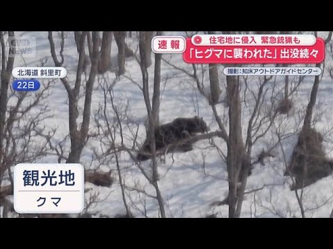 クマ猟師“丸腰状態で7年”駆除に「違法」最高裁判断は？【スーパーJチャンネル】(2026年3月27日)