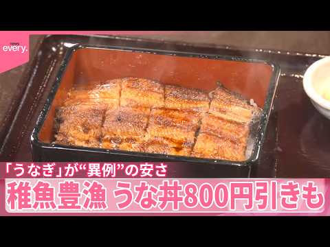 【うなぎ】“異例”の安さ  稚魚豊漁  うな丼800円引きも  この安さいつまで続く？ サムネイル