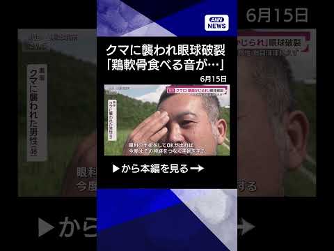【ニュース】独自）クマ襲撃で眼球破裂「顔面かじられ…鶏軟骨食べる音」秋田ケガ被害“全員”証言shorts サムネイル
