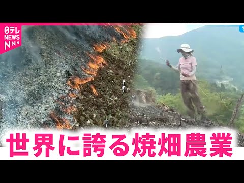 【焼畑】縄文時代から続く"世界農業遺産"の文化 交流人口増やし次世代へ　宮崎　NNNセレクション