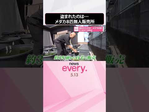 【盗難被害】無人販売所で盗まれたのは･･･メダカ８匹  shorts サムネイル