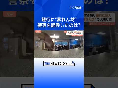 ニューヨーク州の銀行に侵入したのは？机に飛び乗り書類まき散らす“暴れん坊”　警察を翻弄するその正体は？｜TBS NEW… サムネイル