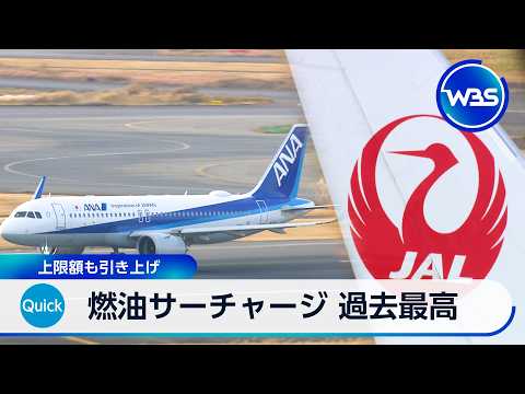 燃油サーチャージ 過去最高　上限額も引き上げ【WBS】 サムネイル