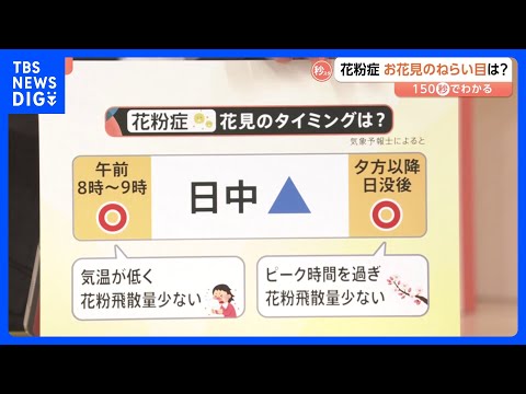 桜が満開になる頃、スギ花粉はピークアウト？花粉症の人におすすめの“花見タイミング”とは【Nスタ解説】｜TBS NEWS…