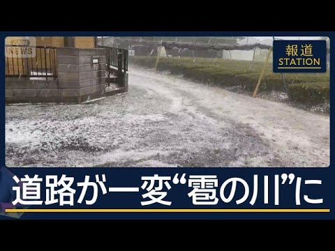 大量の雹“まるで流氷”…関東各地でゲリラ雷雨　週末も天気急変に注意【報道ステーション】(2026年6月12日) サムネイル