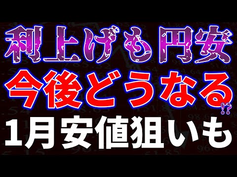 利上げも円安で今後どうなる！？１月安値狙いも サムネイル