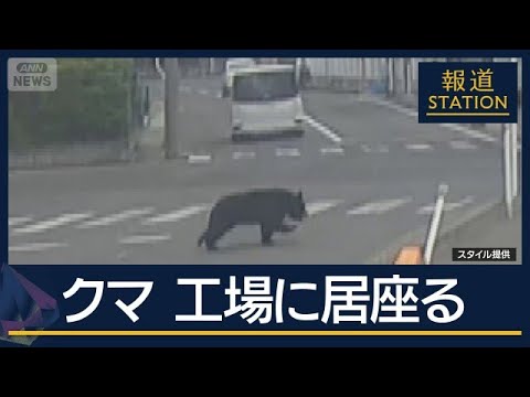 小学校の通学路を駆け抜ける姿も…福島で4人を襲ったクマ 工場に30時間以上居座る【報道ステーション】(2026年6月3… サムネイル