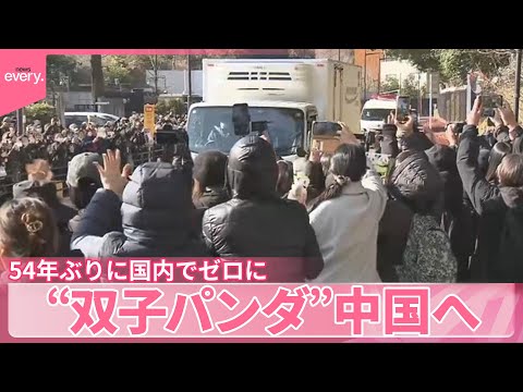 【“双子パンダ”】中国へ返還  54年ぶりに国内でゼロに サムネイル