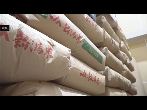 コメ民間在庫率 2カ月連続で過去最大　下落傾向もまだ高い価格が一因(2026年3月31日)