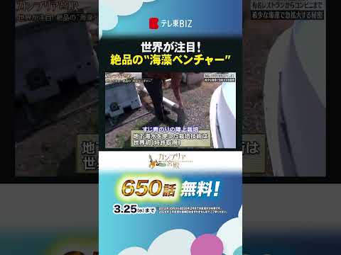 世界が注目！絶品の“海藻ベンチャー” shorts カンブリア宮殿 シーベジタブル 海藻