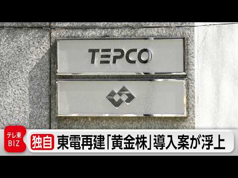【独自】東電再建「黄金株」導入案が浮上 サムネイル