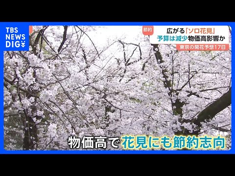 お花見にも「節約志向」定着　予算は1000円減、一方で「ソロ花見」は2.2倍に｜TBS NEWS DIG サムネイル