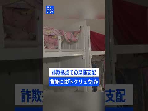 「スタンガンをもった見張り役が…」「1日14時間電話を…」カンボジアの特殊詐欺拠点で生活した日本人の証言に見る恐怖の実…