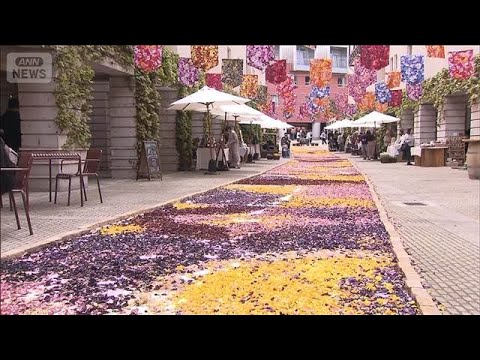 チューリップの花びらで絨毯 160mの回廊 山梨・北杜市(2026年5月4日) サムネイル