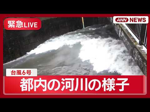 【緊急ライブ】台風6号 都内の河川状況 中野区と杉並区を流れる善福寺川・野川・仙川に｢レベル4氾濫危険警報｣【LIVE… サムネイル