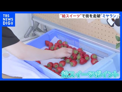 スイーツ味わいながらランニング「ミヤラン」開催 「給水ポイント」ならぬ「給スイーツポイント」あんず棒やさくら杏仁豆腐な…