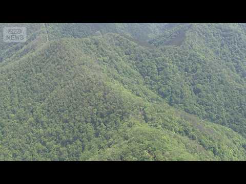 【現地空撮】山中で遺体発見　クマなどに襲われた可能性　東京・奥多摩町(2026年5月19日) ANN/テレ朝 LIVE サムネイル