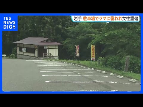 岩手で女性（48）がクマに襲われ大けが 顔を骨折　神社の駐車場で車から降りたところで　花巻市｜TBS NEWS DIG サムネイル
