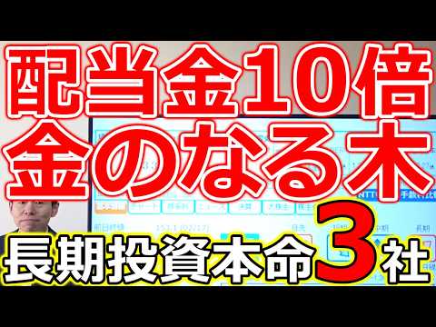 【配当金10倍！金のなる木はこうして育つ】長期投資の本命高配当株 厳選３社 サムネイル