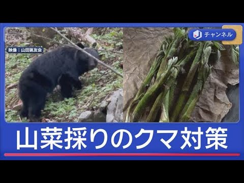 山菜採り中にクマ被害続出　名人が伝授！カギ握る「鈴の音」【スーパーJチャンネル】(2026年5月8日) サムネイル
