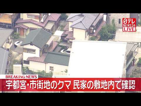 【クマ出没】【速報】宇都宮・市街地のクマ　民家の敷地内で確認　麻酔銃など使い捕獲に向けた準備進める──社会ニュースライ… サムネイル