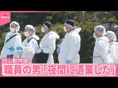 【旭山動物園】職員の男、妻の遺体を車で運搬か「夜間に遺棄した」 サムネイル