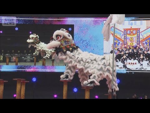 中華獅子舞の世界大会が日本初開催　8つの国と地域から参加、2人1組で獅子操る【グッド！モーニング】(2026年4月6日)