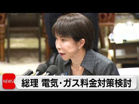 原油急騰を受け高市総理がガソリンや電気・ガス料金の高騰対策検討「遅すぎることなく対策打つ」 サムネイル