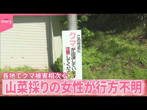 【クマに襲われたか】岩手で山中に遺体  山菜採りの女性が行方不明  各地で連日被害相次ぐ サムネイル