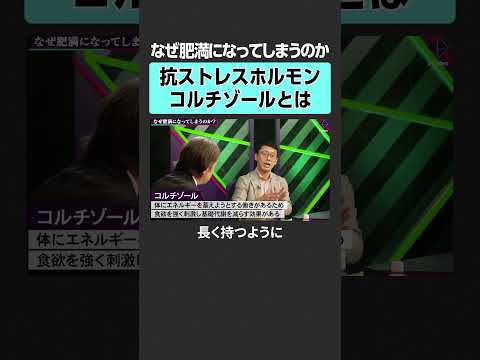 【なぜ肥満に？】引き金になるホルモンダイエット 筋トレ 肥満外来 髙倉一樹 加藤浩次 NewsPicks 2Sides… サムネイル