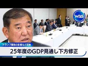 経済金融動画 | 25年度のGDP見通し下方修正　トランプ関税の影響など反映【WBS】【YouTubeおすすめ】