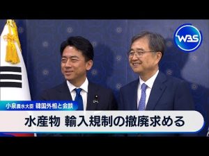福島水産物輸入規制に関する小泉農水大臣と韓国外相の会談概要 – お金を稼ぐ副業チャンネル