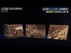 東南アジアでの華僑粛清の実態と戦争の悲劇を解説 – お金を稼ぐ副業チャンネル