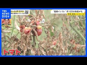 猛暑と夏野菜価格高騰の影響｜環境と経済、家庭への影響を解説 – お金を稼ぐ副業チャンネル