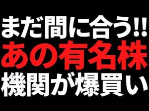 45％暴落後の有名株反発！機関投資家の買いが続く今が投資チャンス – お金を稼ぐ副業チャンネル
