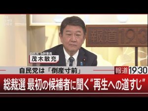 自民党総裁選候補者インタビュー丨再生と経済復活の展望 – お金を稼ぐ副業チャンネル